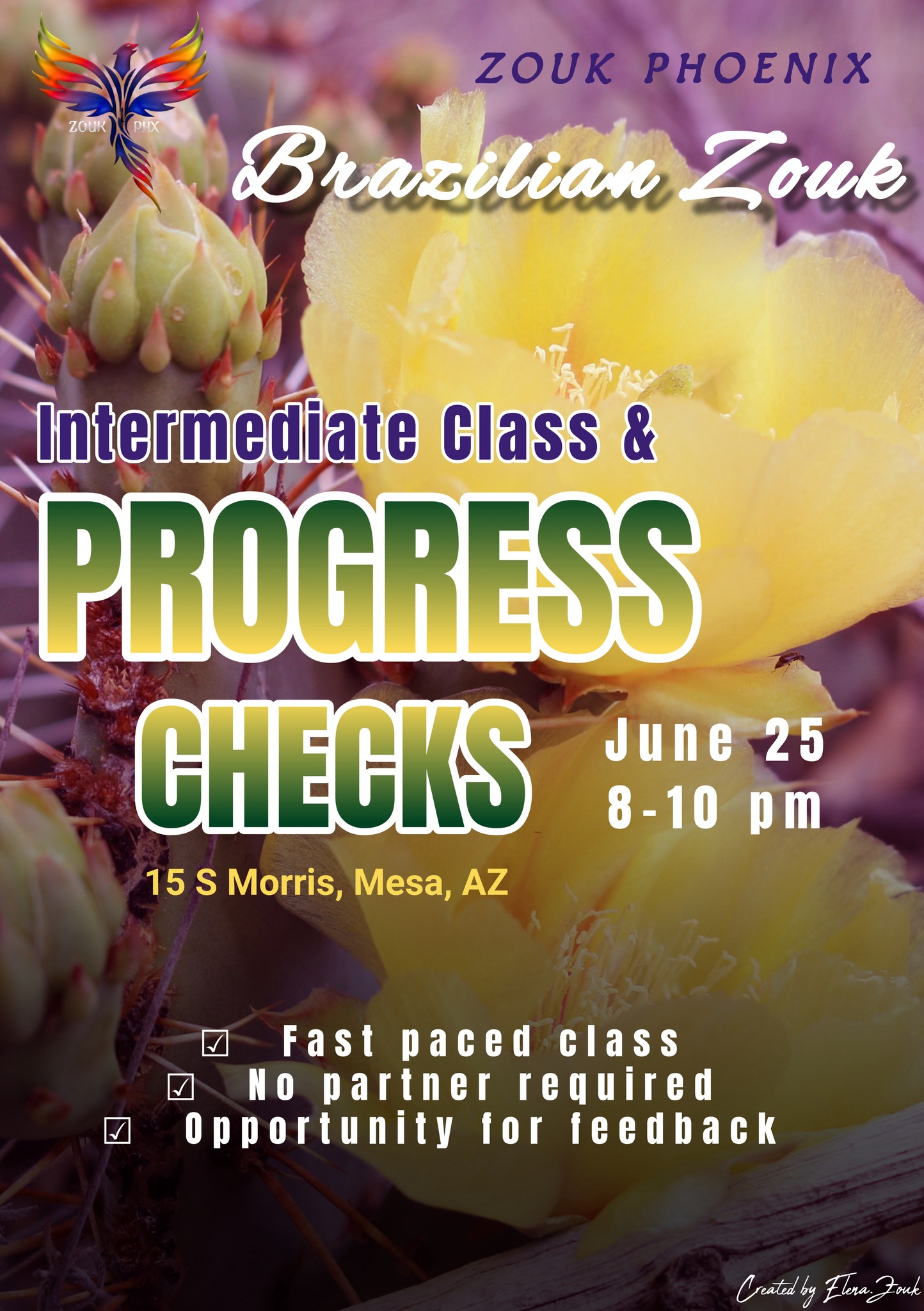 Intermediate Class and Progress Checks