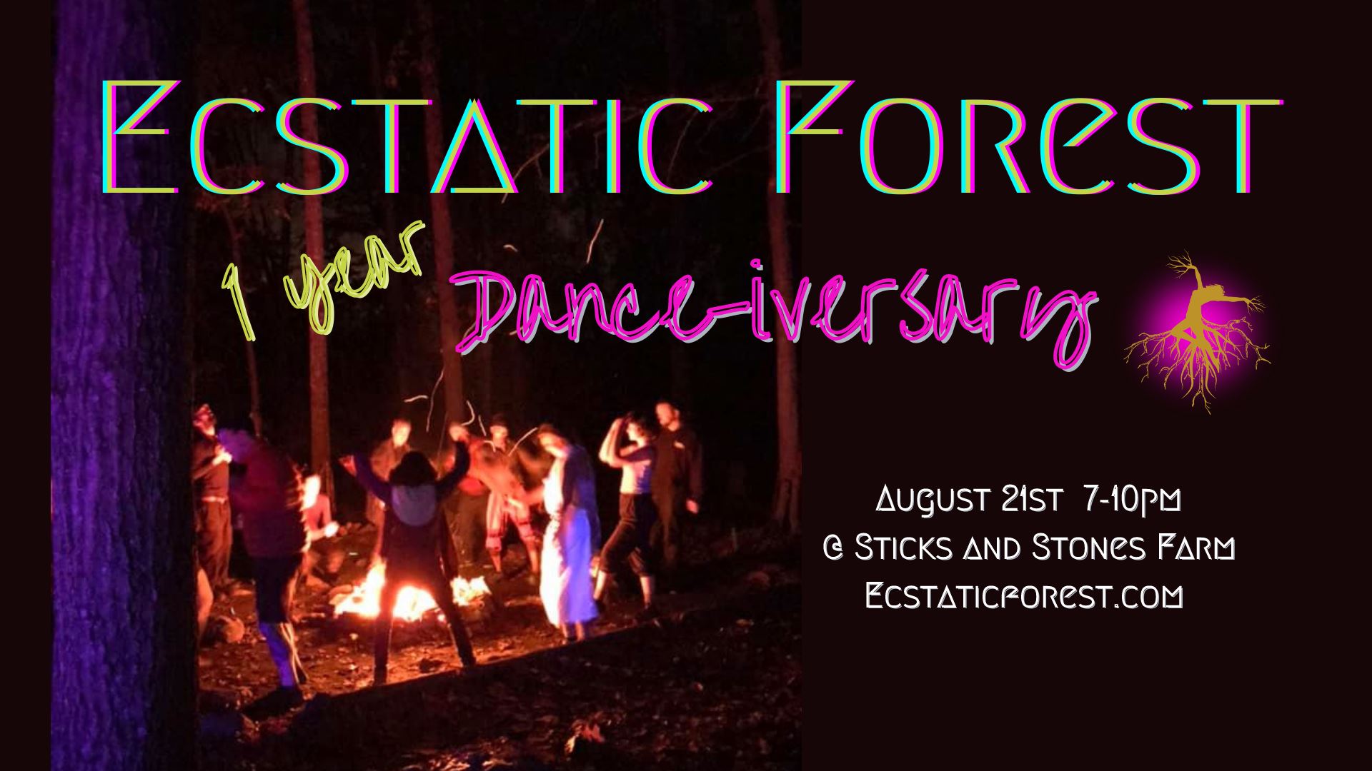 1 Year DANCE-iversary
