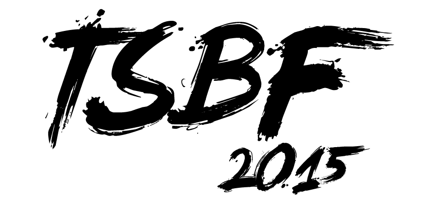 Tampa Salsa Bachata Festival 2015