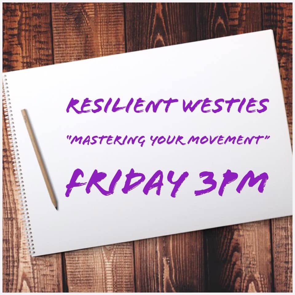 Mastering Your Movement - MADjam
