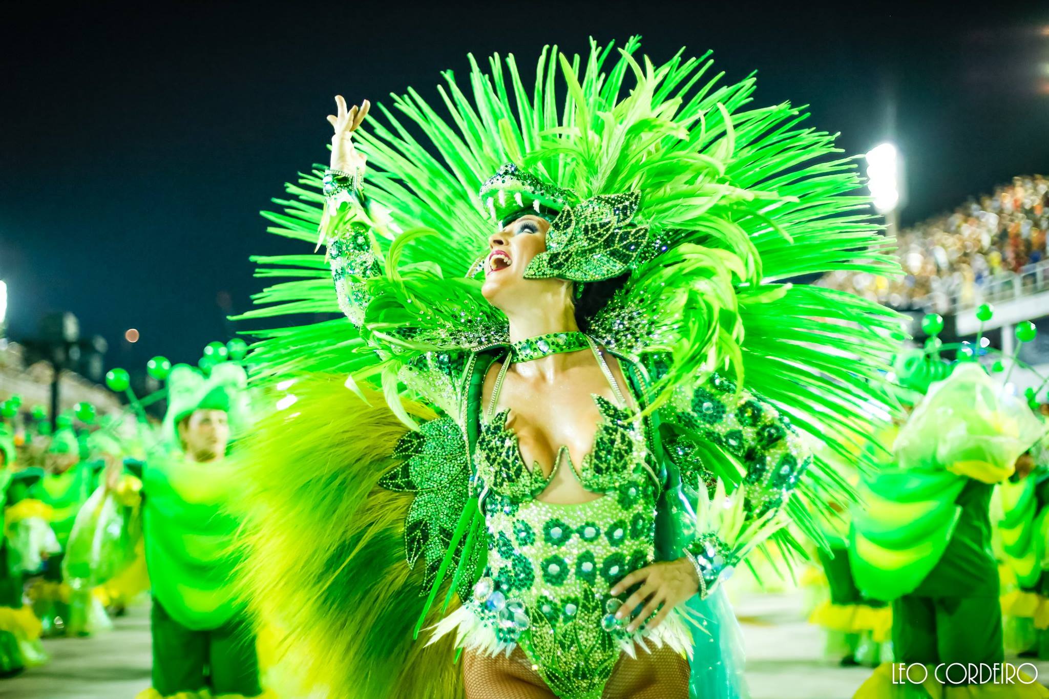 Rio Carnaval Musa do Samba Dance Class Sat March 3, 10am