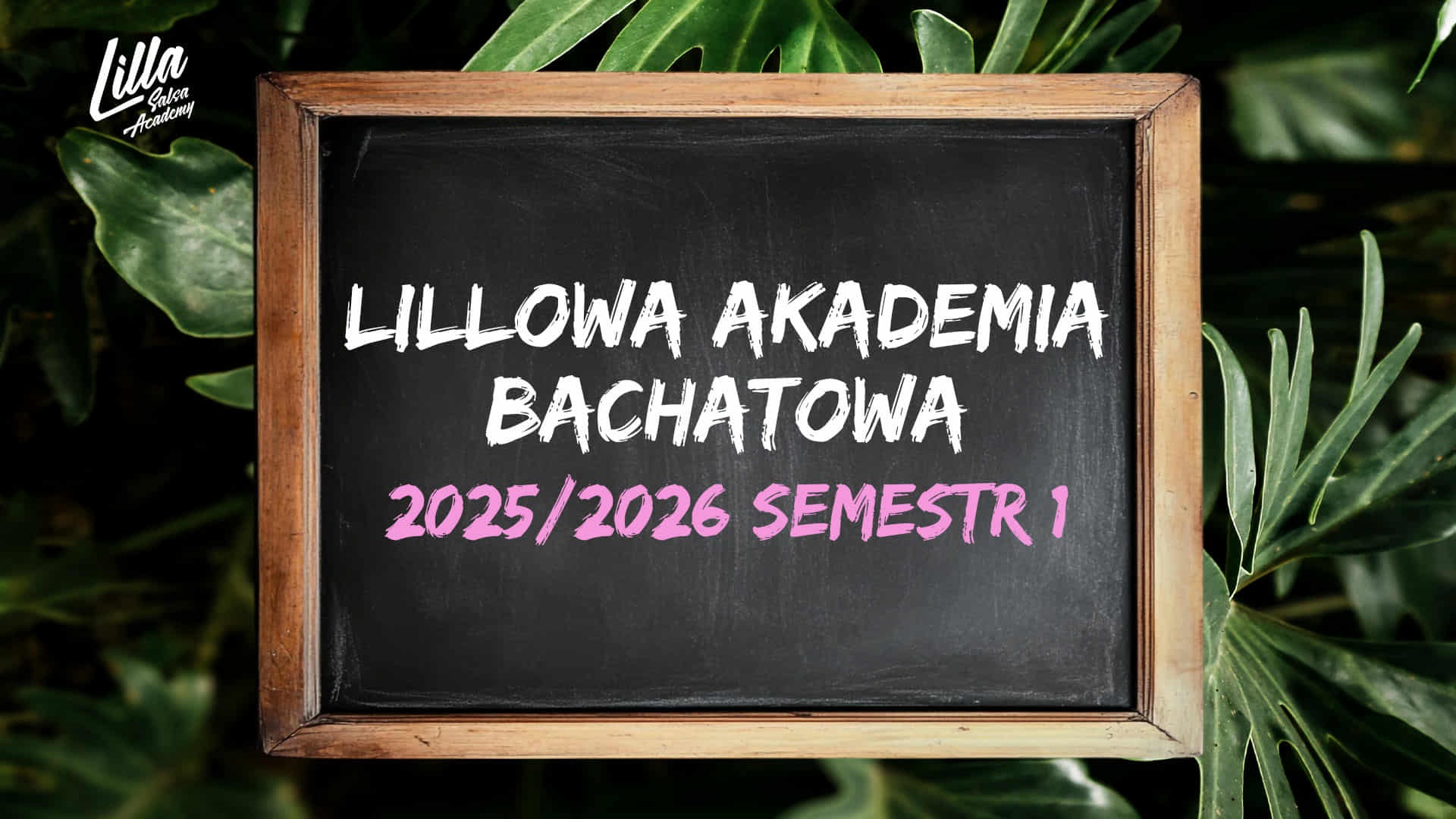 LILLOWA AKADEMIA BACHATOWA 2025 2026