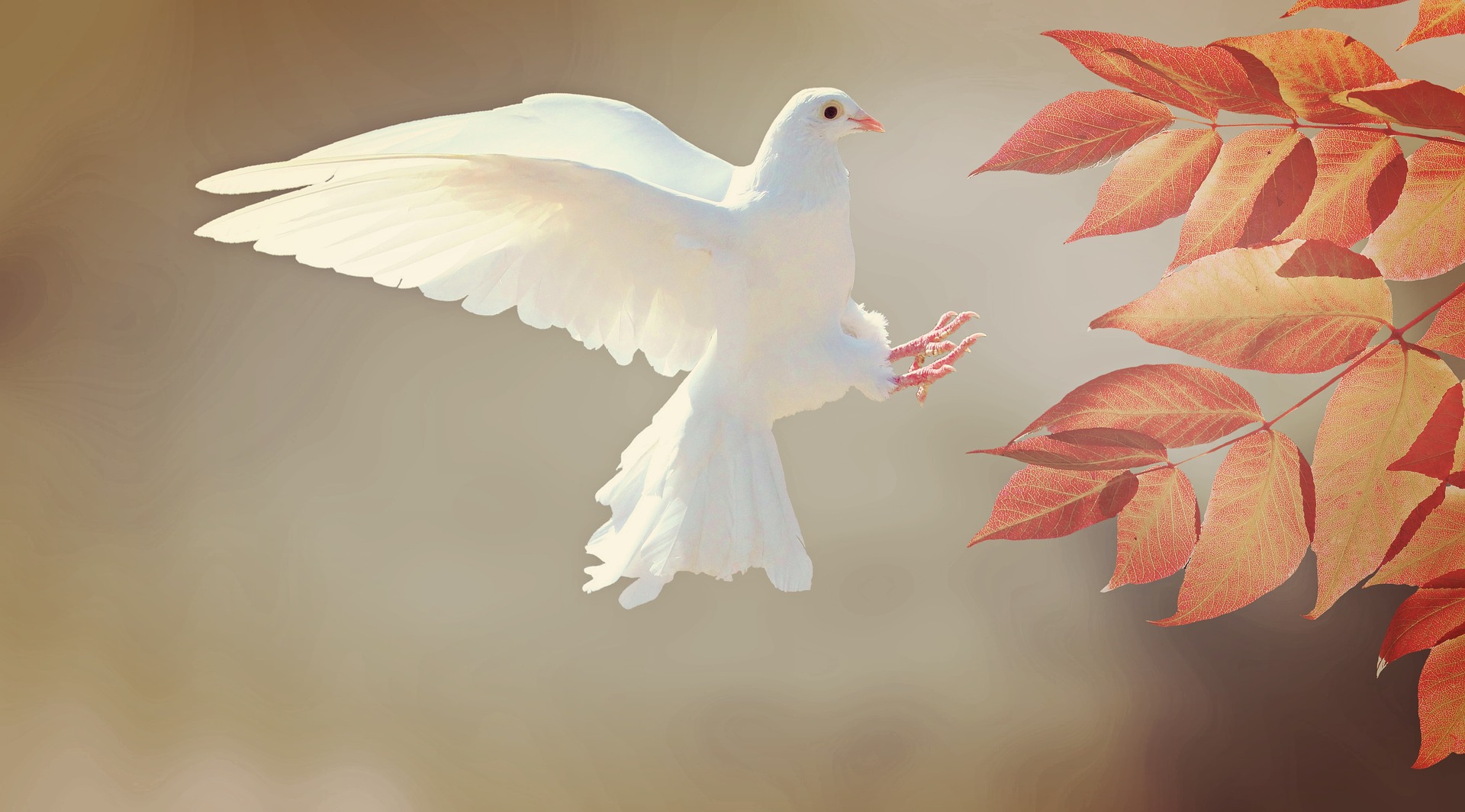 The Autumn Love Journey - Amazing Sauna experience, Freedom Dance, Cacao, Circle of Love & Singing