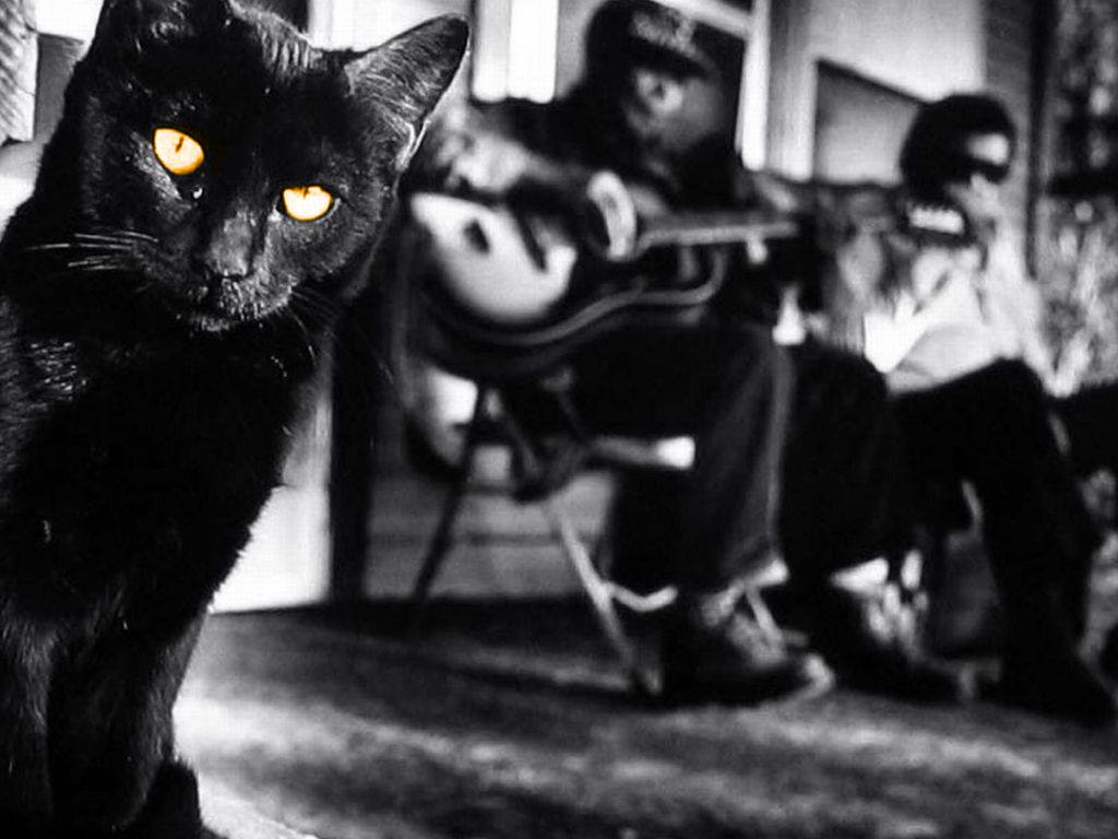 The Black Cat's Blues Dance Party