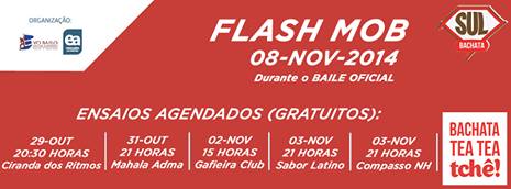 Flash Mob 2014 - Agenda de Ensaios