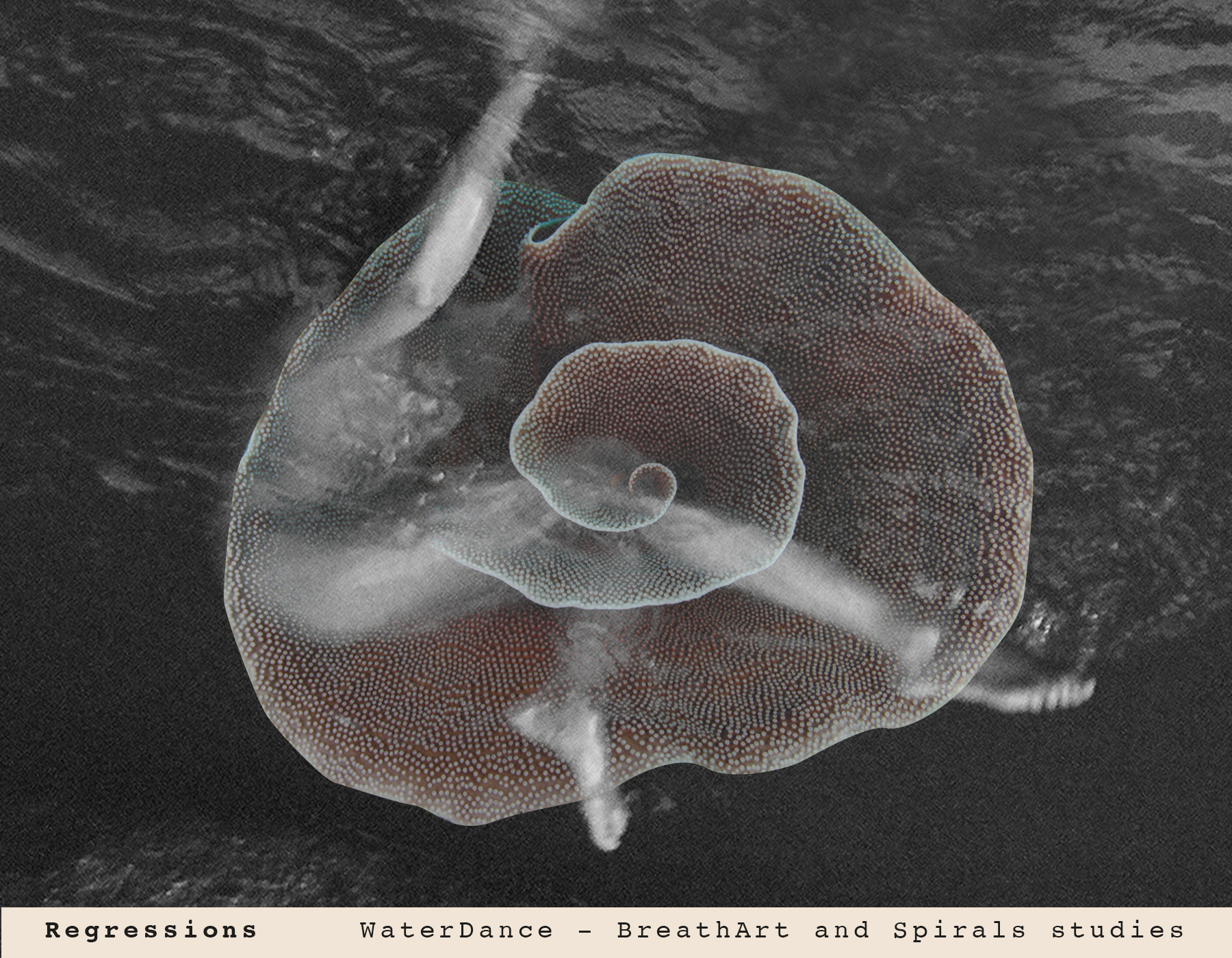 REGRESSIONS 💧 WaterDance - BreathArt and Spirals studies 💧