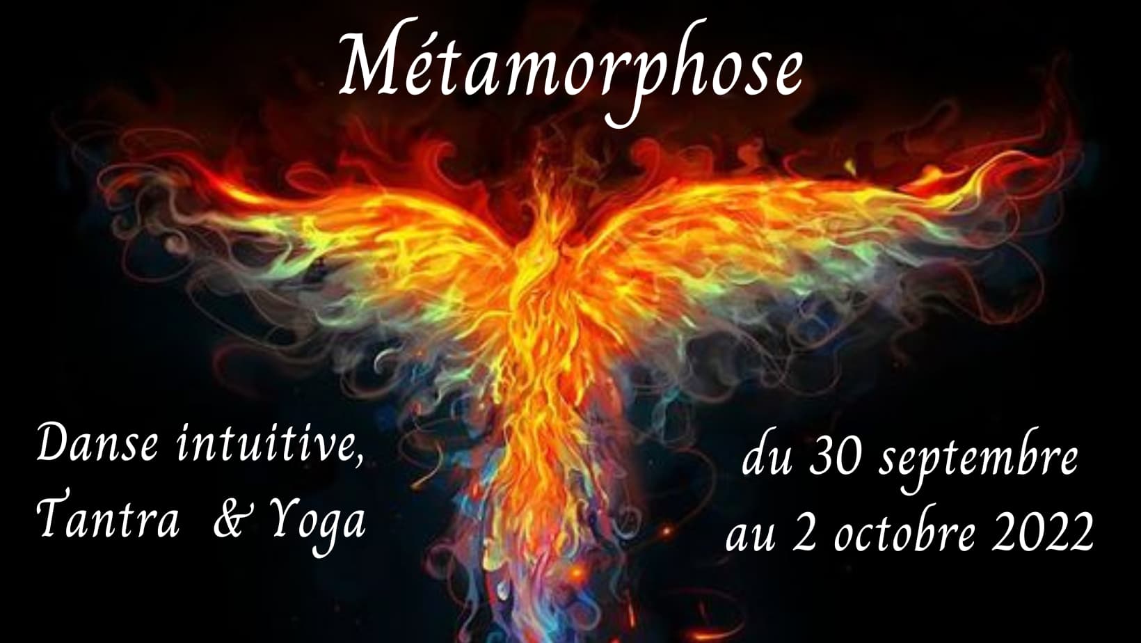 Stage Métamorphose
