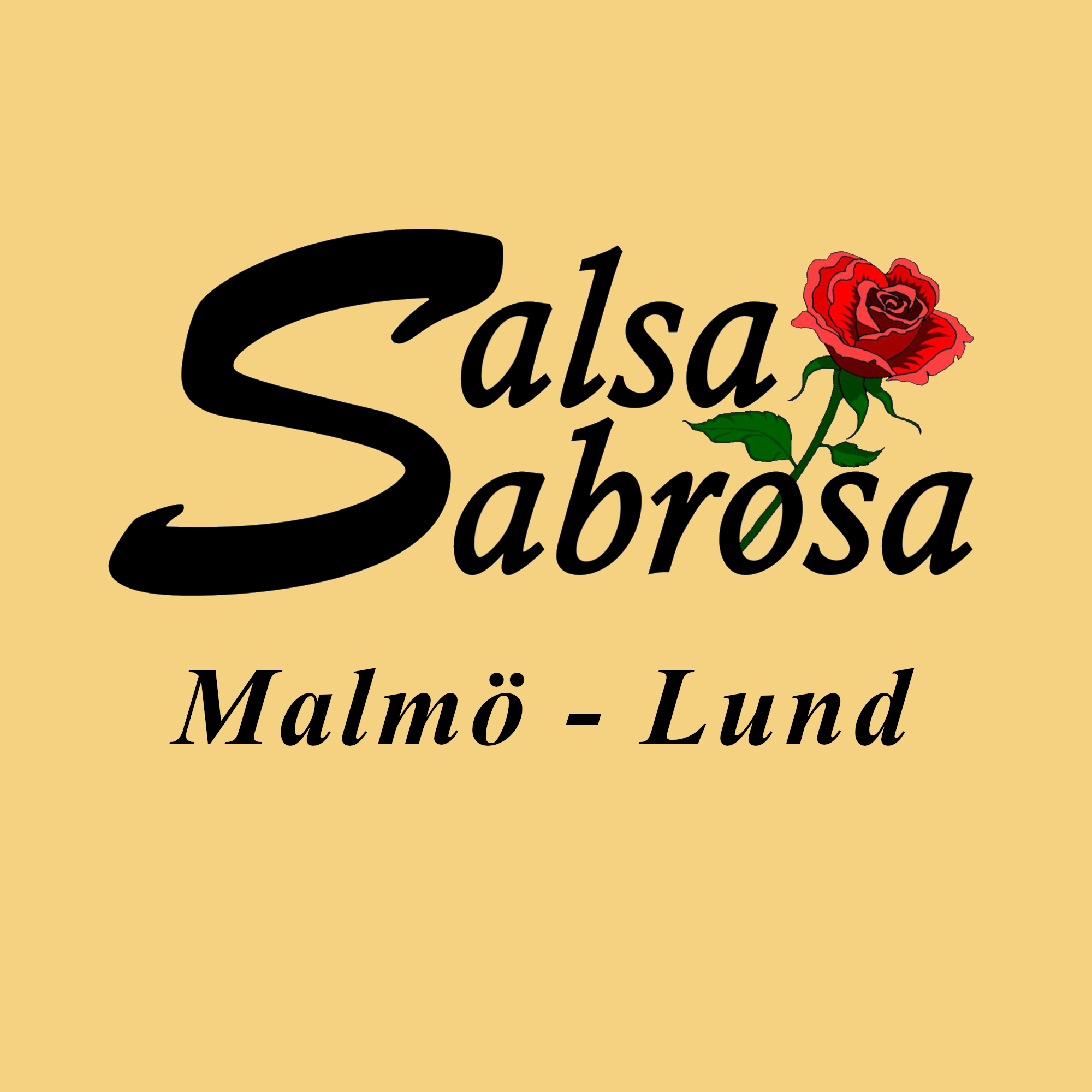 Våren 2026 Salsakurser&Bachatakurser in Malmö Lund Salsa Bachata Bachatakurs Latin Dans Danskurs