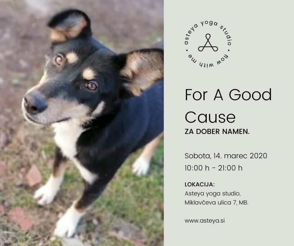 ODPOVEDNO ! For A Good Cause - Celodnevne Delavnice