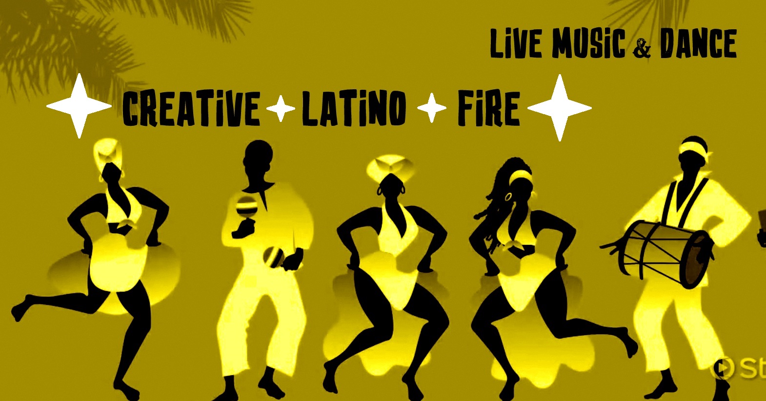 Bachata Vibes 🔥Creative Latino Fire🔥