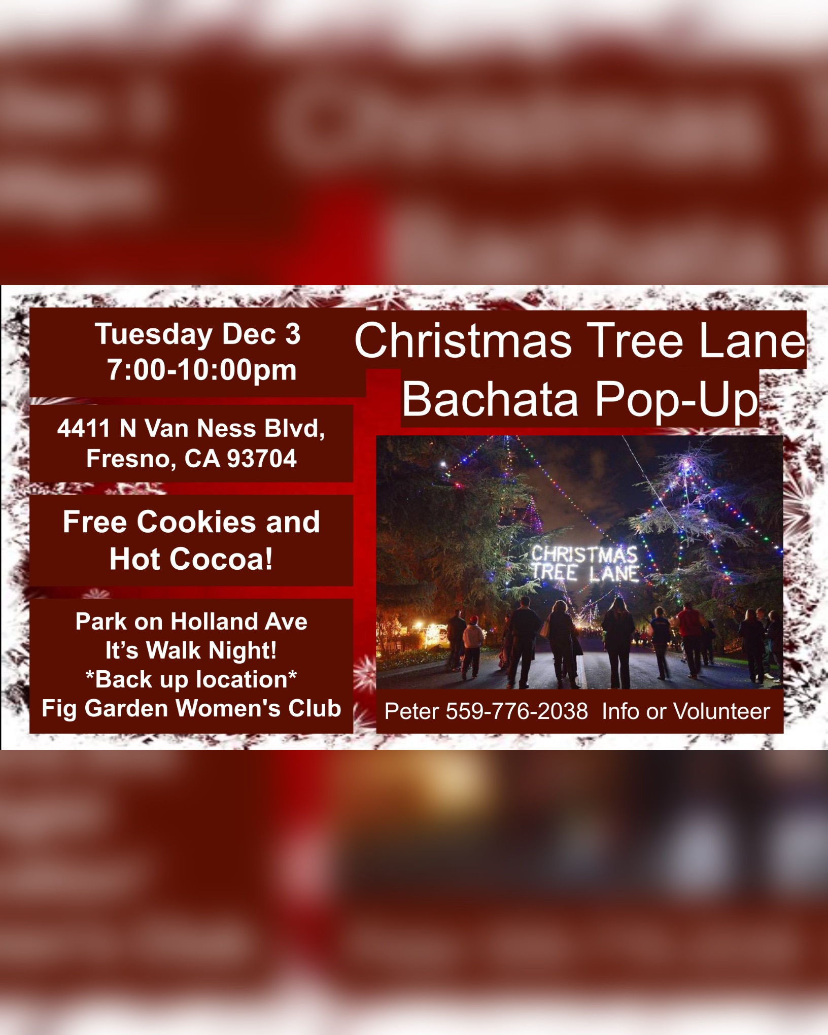 Bachata Christmas Tree Lane Pop Up