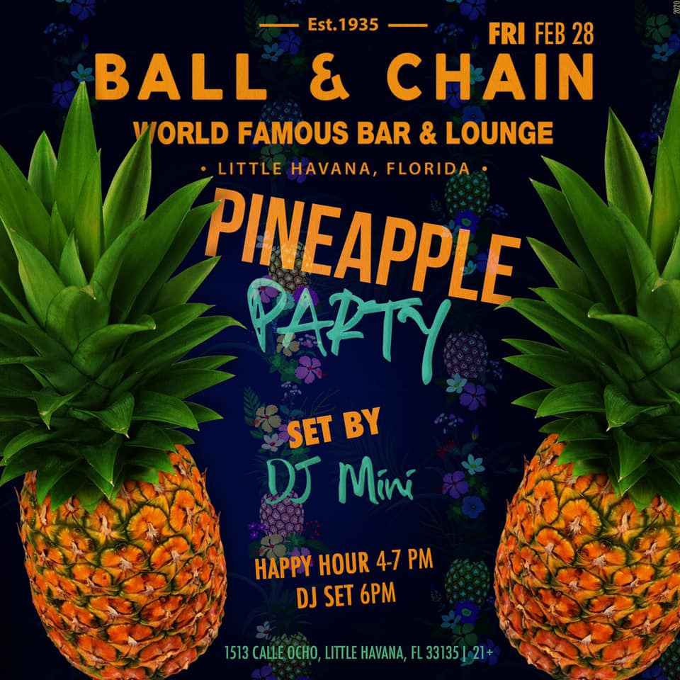 Pineapple Party with Dj Mini