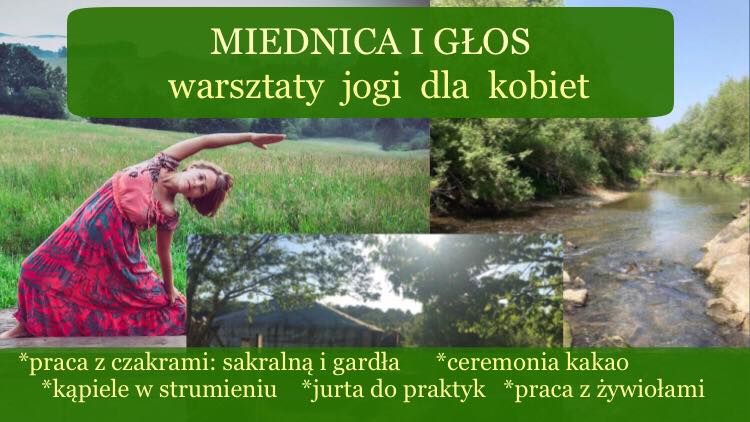 Miednica i głos: warsztaty jogi dla kobiet w Księżycowym Domu