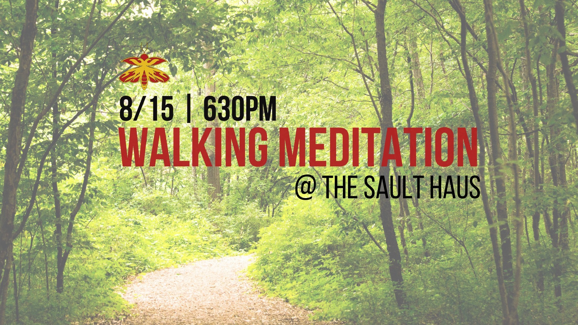 Walking Mindfulness Meditation at the Woods of Sault Haus
