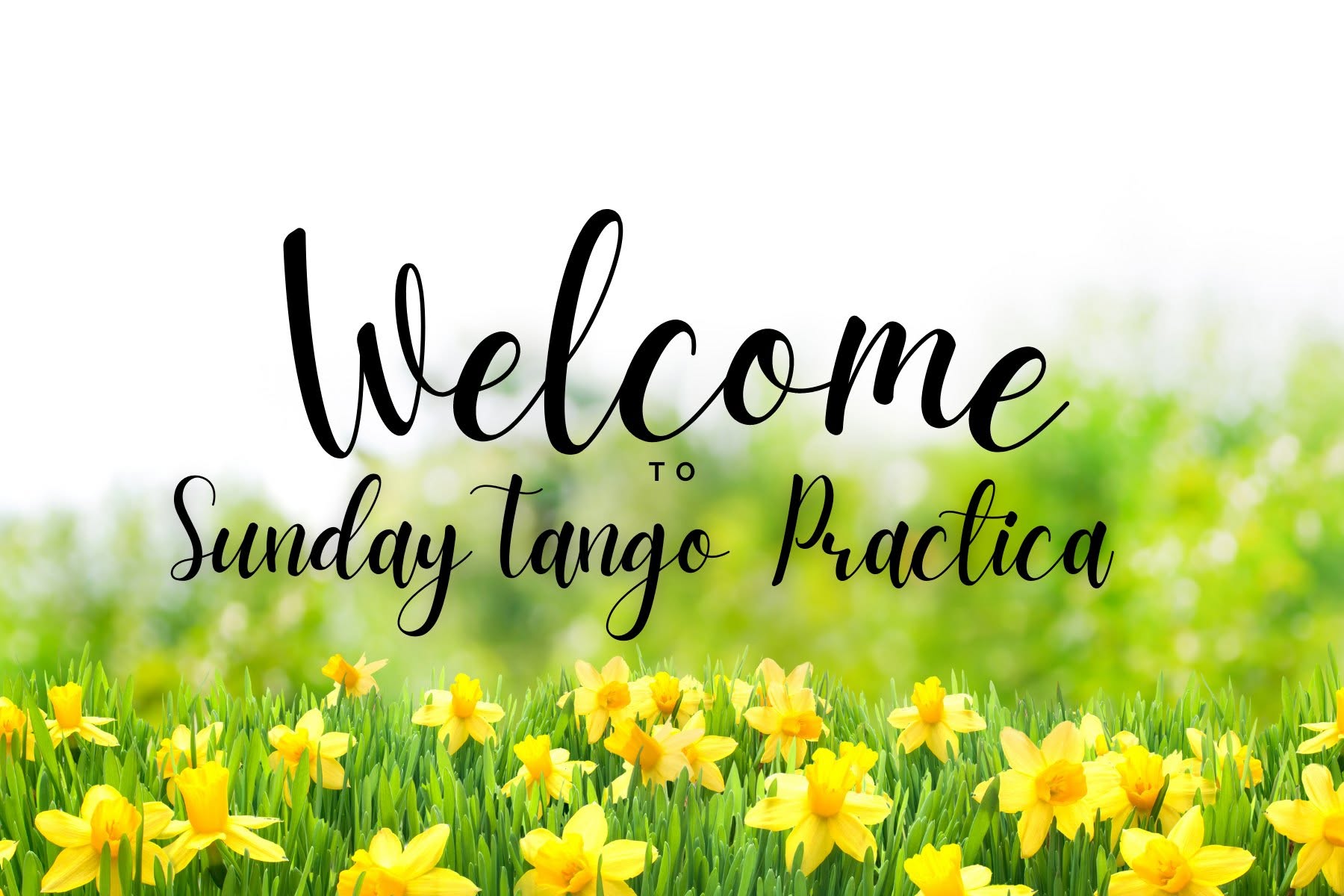 Sunday Tango Practica @ SO
