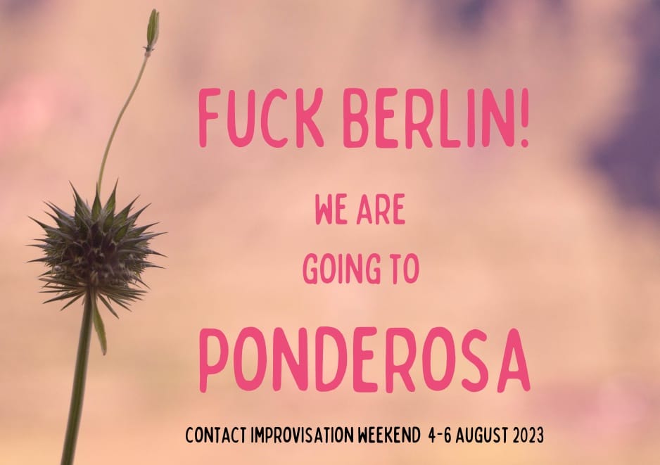 Contact improvisation weekend