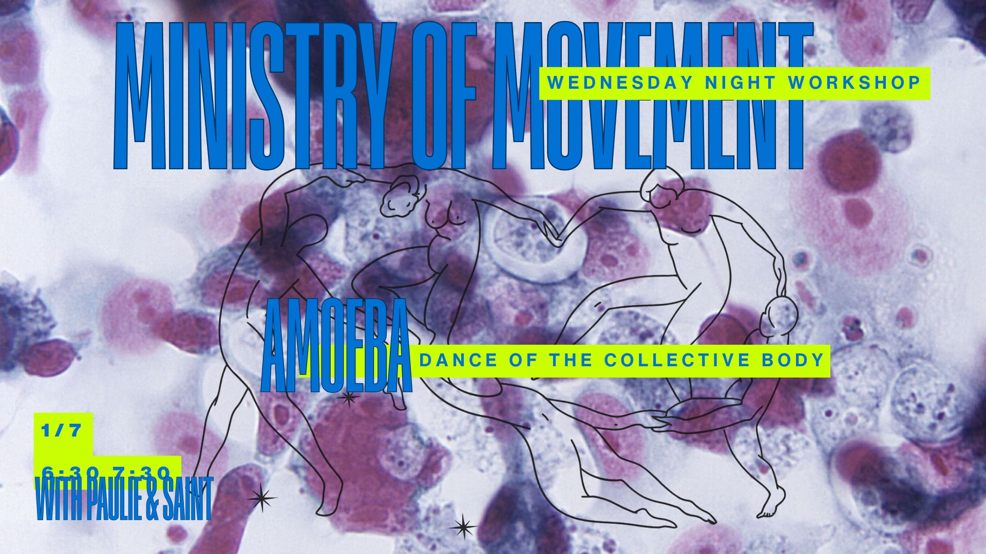 MoM Wed Night Beginner's Mind Workshop: Amoeba: The Dance of Shared Presence
