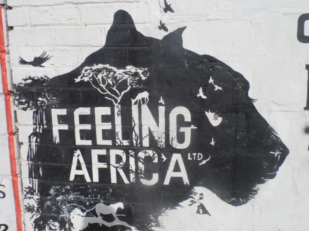 Flashmob-Ziua Africii Africa Day 2015