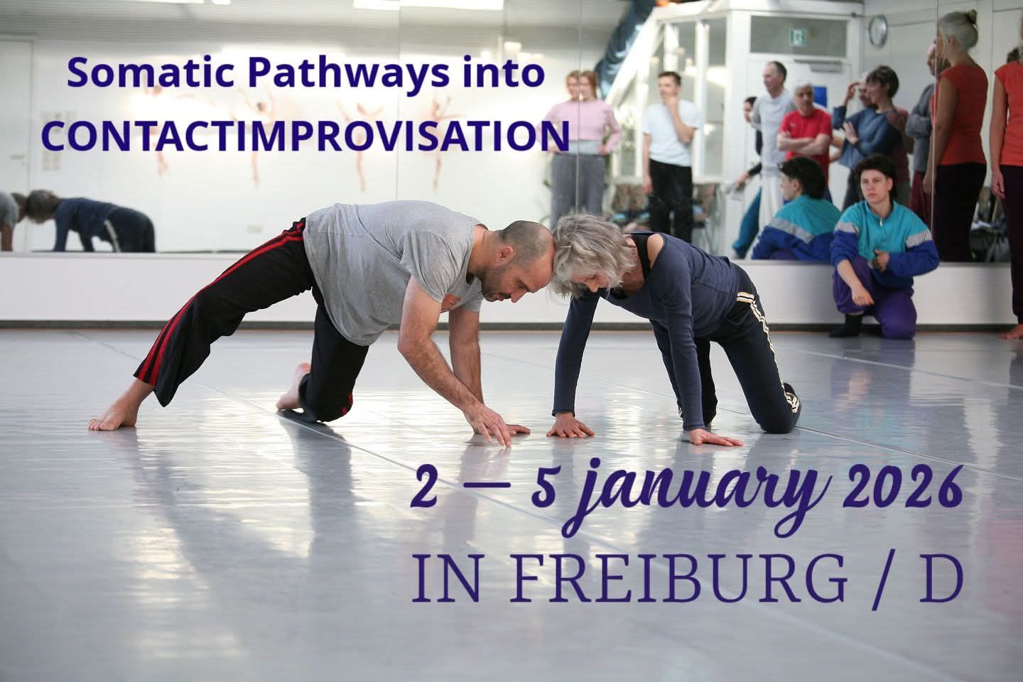Somatic Pathways into Contact Improvisation
