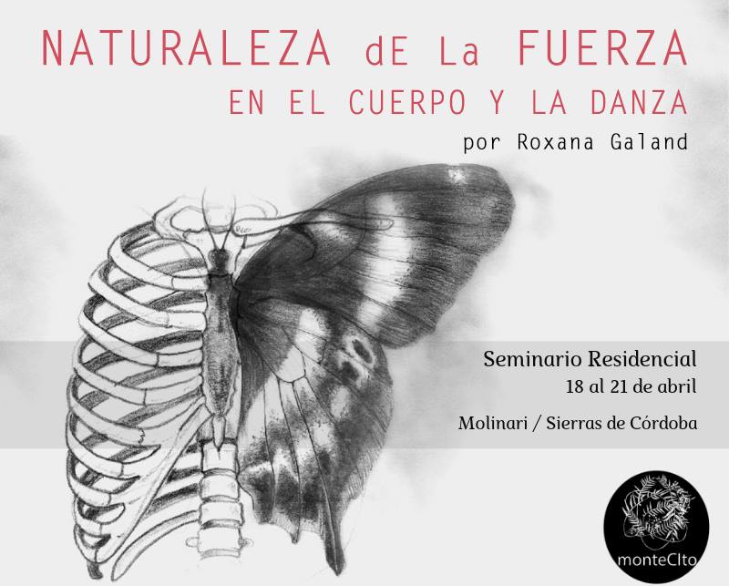 Naturaleza de la Fuerza - Seminario Residencial en Córdoba