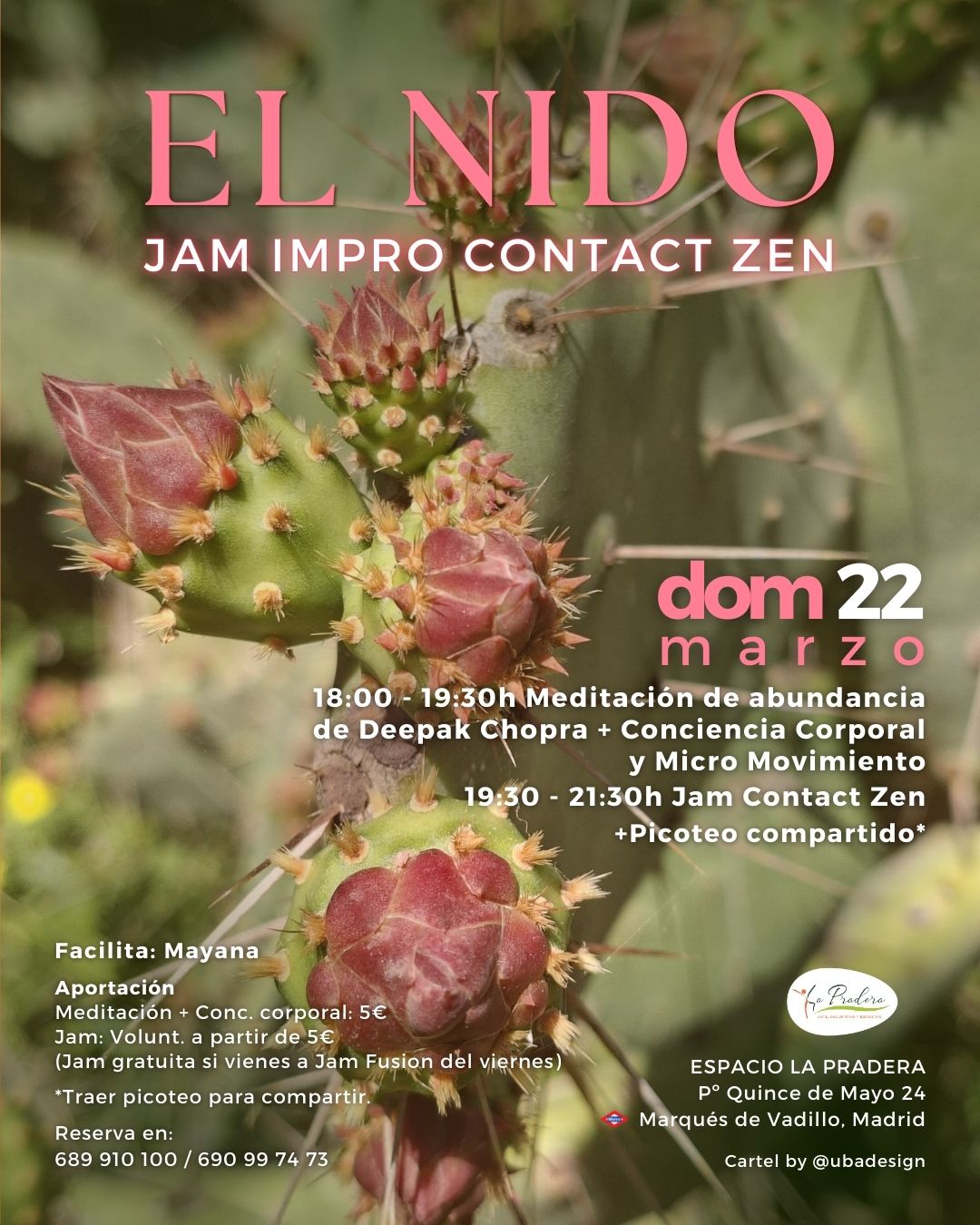 EL NIDO. Jam Impro Contact Zen