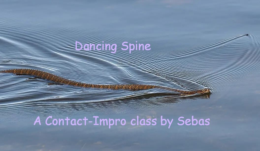 Dancing spine, fluid bones - Contact-Impro class by Sebas - Sat. Nov. 30