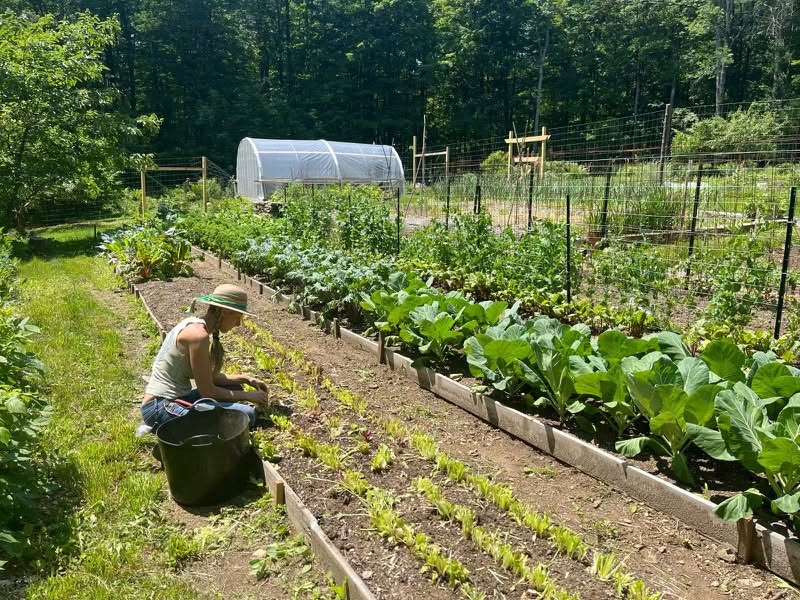 Earthdance Garden Sunday Community Work Day July 19 (3rd Sunday)