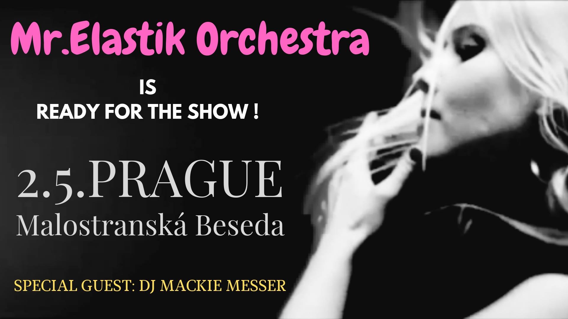 Mr.Elastik Orchestra feat.Total Neo-Swing Destruction Party