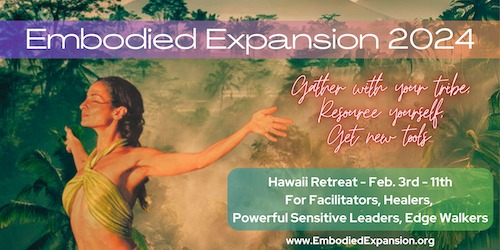 Embodied Expansion 2024