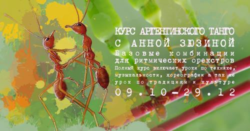 Курс Аргентинского танго с Анной Зюзиной