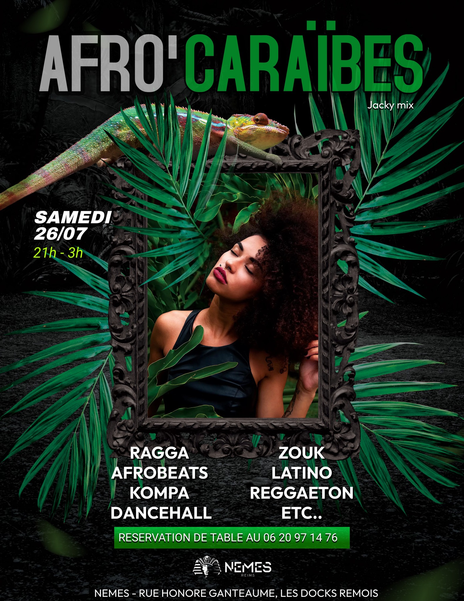 AFRO'CARAÏBES - NEMES ☀️🐆