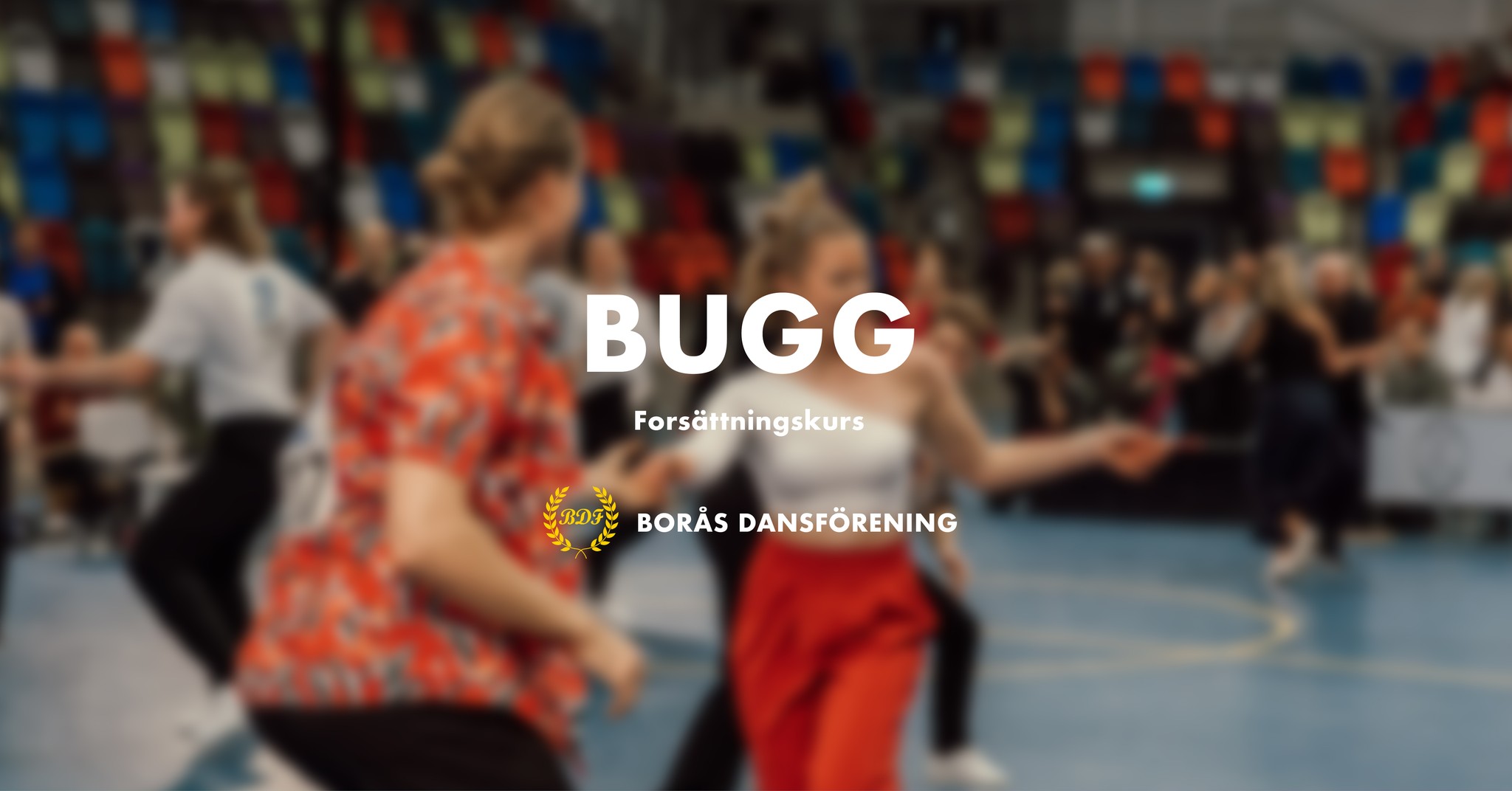 Bugg - Fortsättningskurs