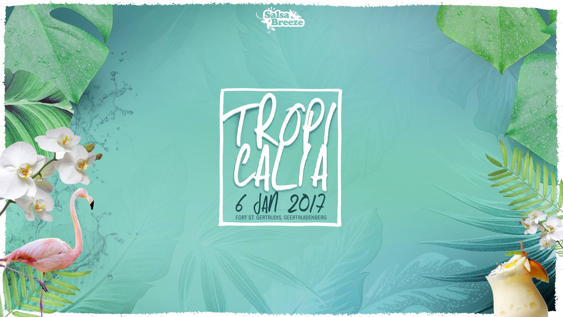 Tropicalia I vr 06.01.2017 l Geertruidenberg