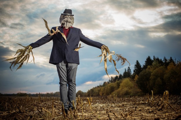 Santebela. Scarecrow Private in Gomarduli