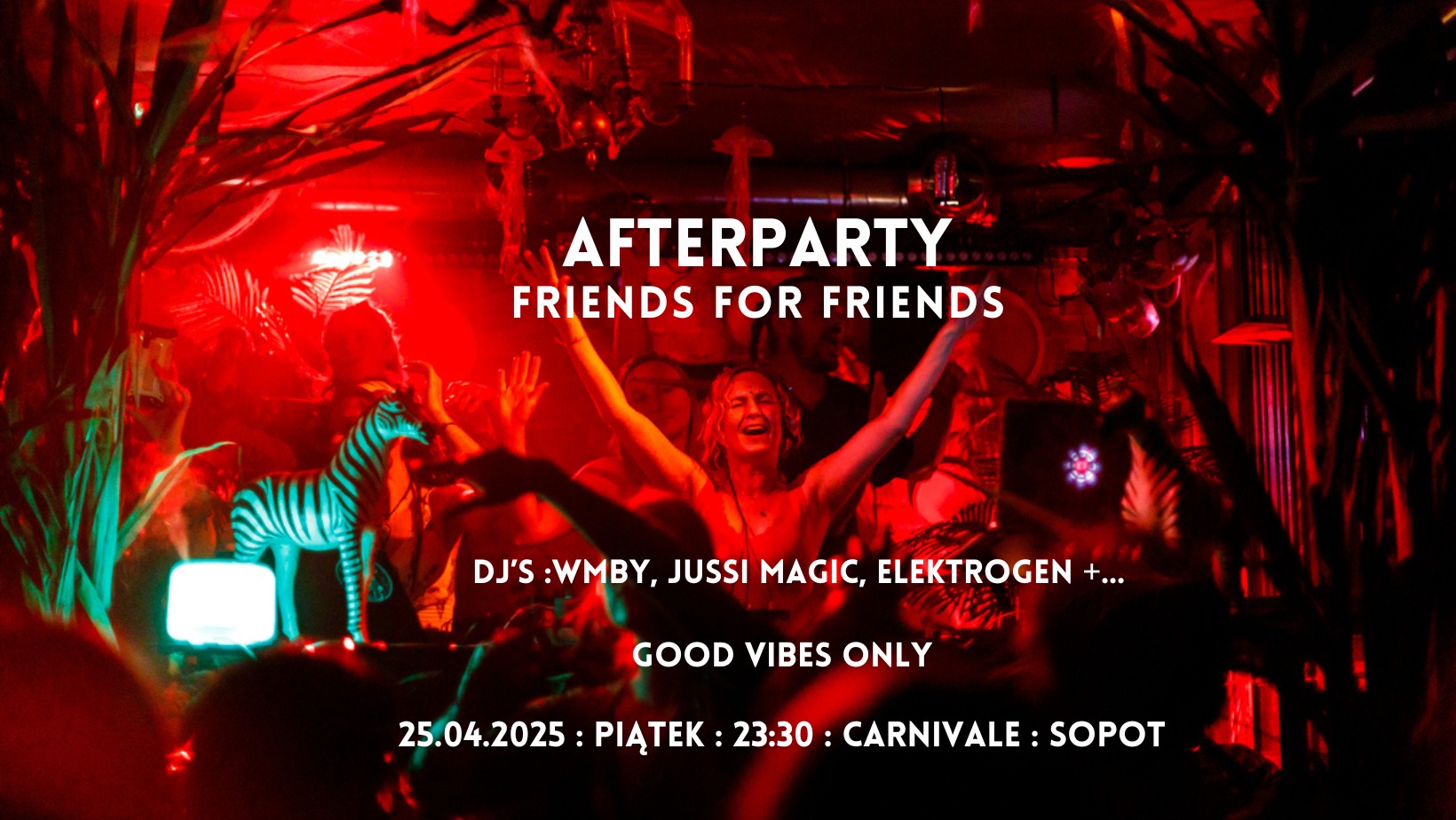 Afterparty :: Friends for Friends