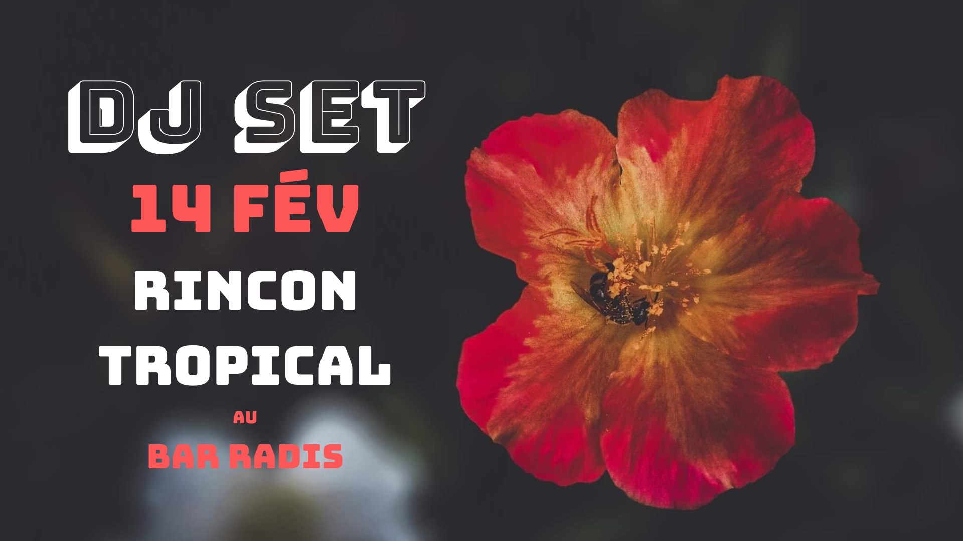 DJ SET Rincon Tropical au Bar Radis 🕺🎶