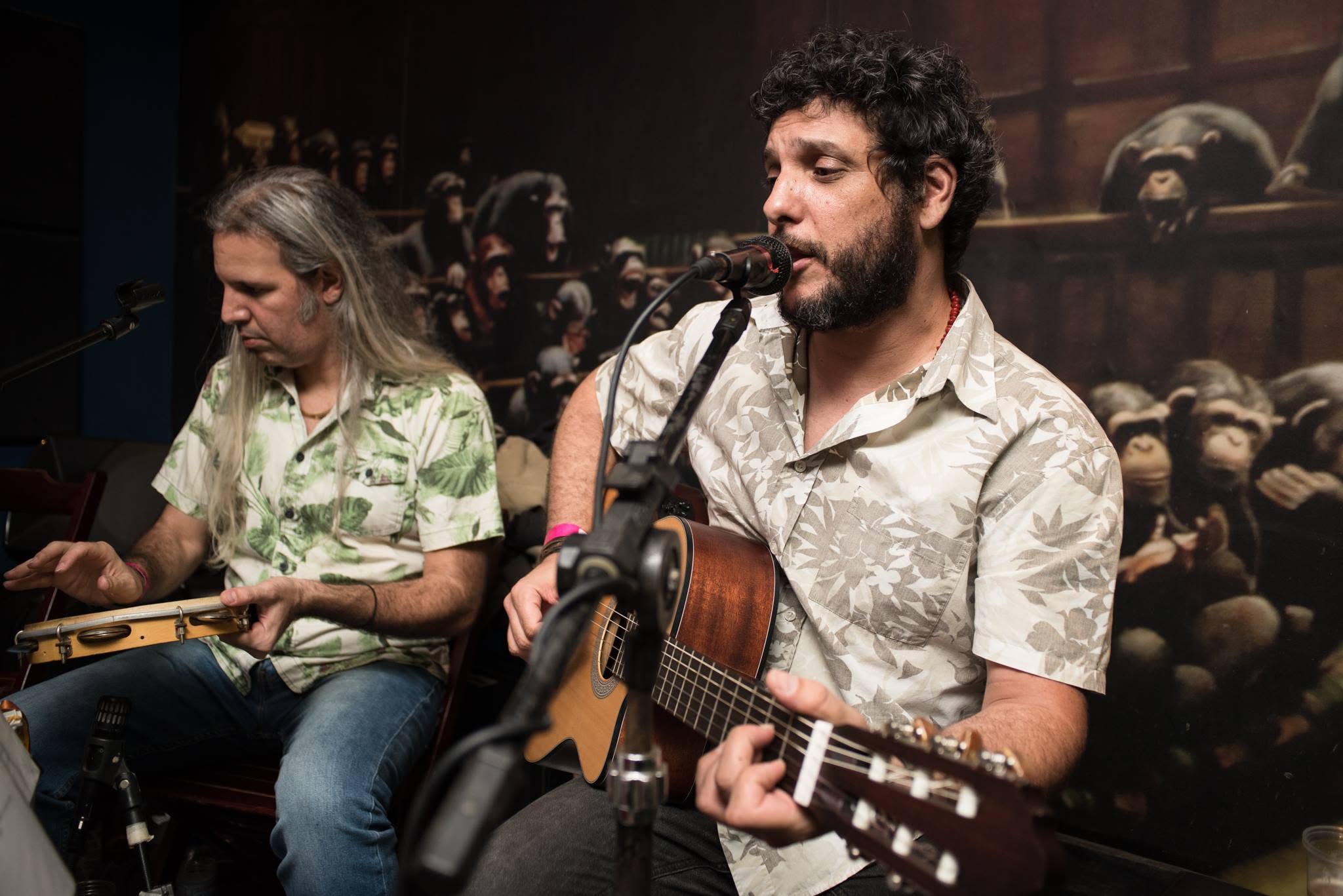 Samba no Stout!