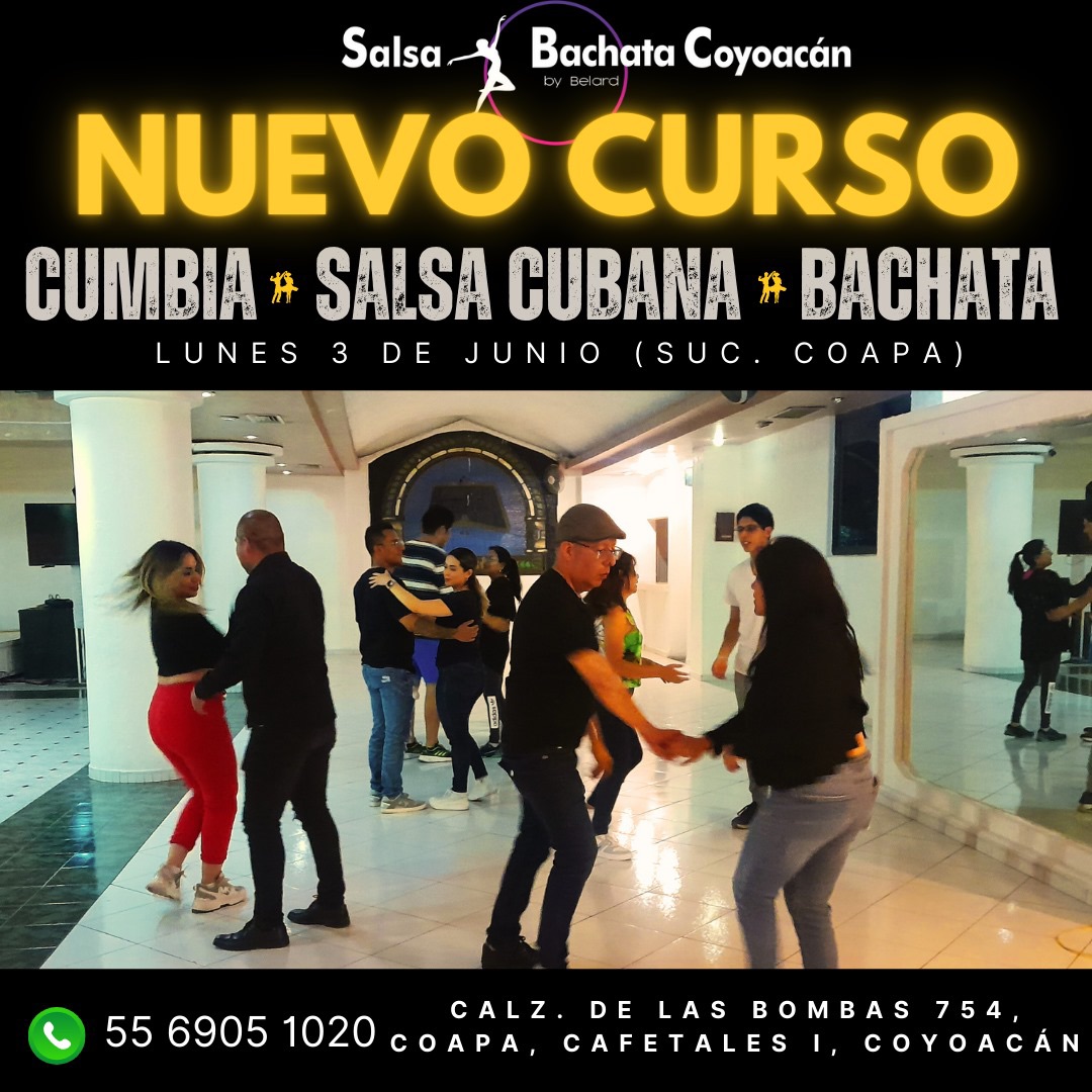 Nuevo curso para principiantes