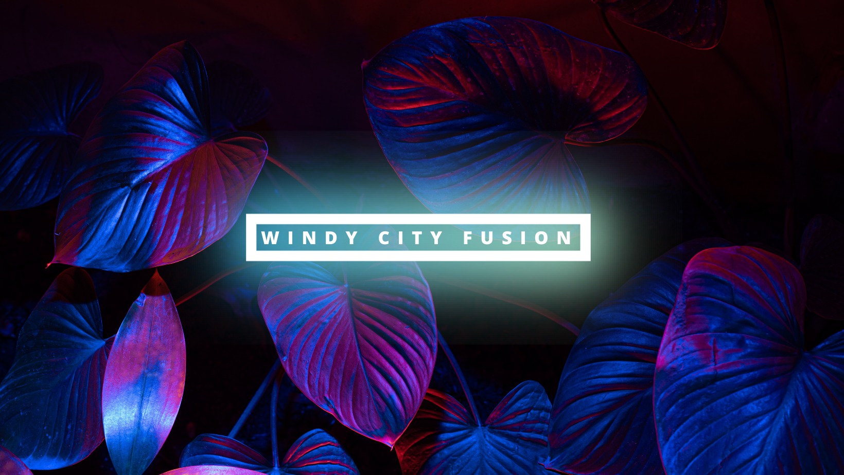 Windy City Fusion: June