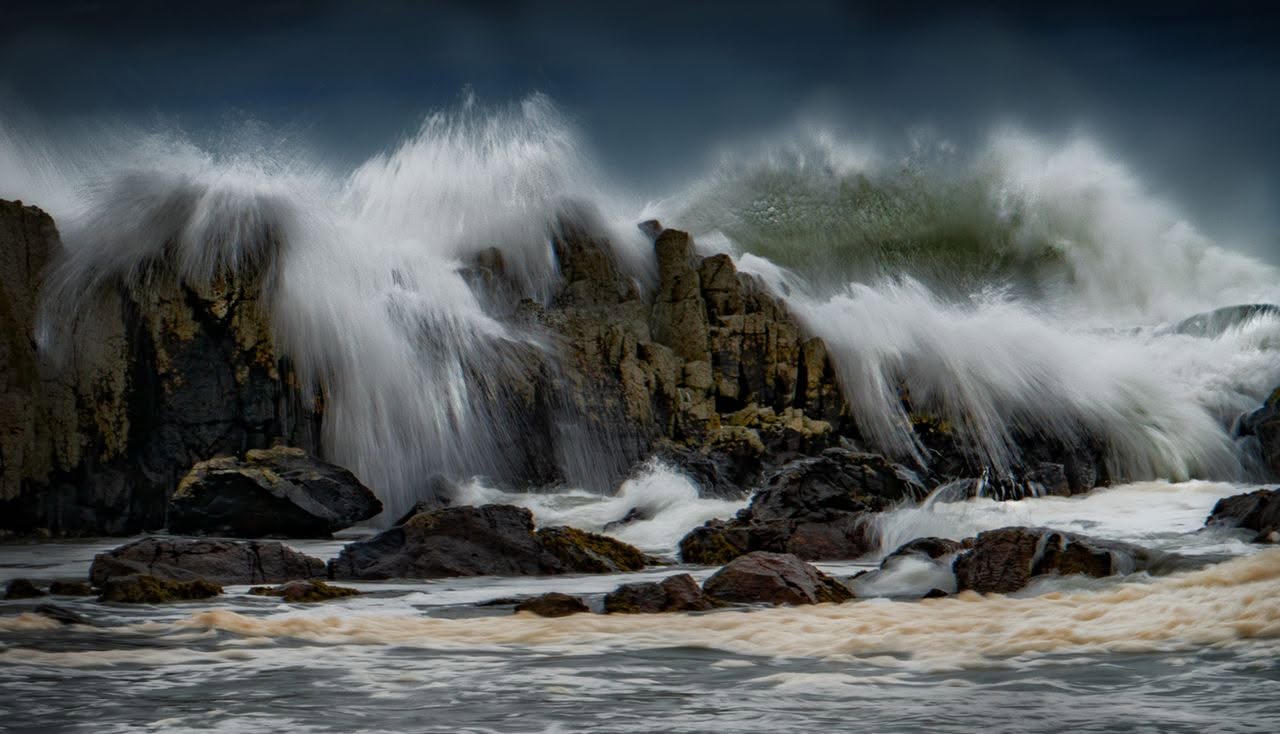Untamed - Ecstatic Dance Wave w Stacey Butcher