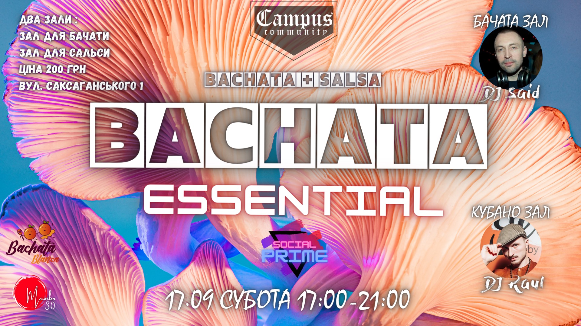 Bachata Essential 17 09