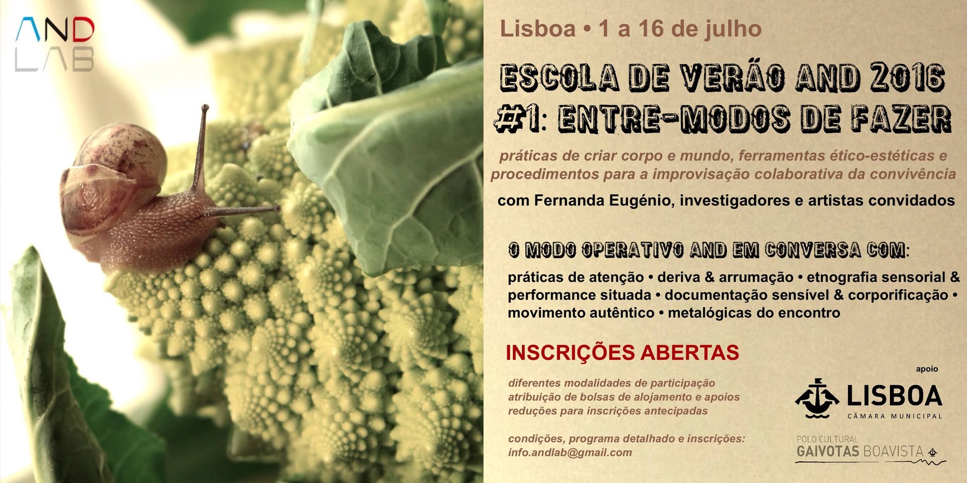 Escola de Verão And 2016 And Summer School 2016