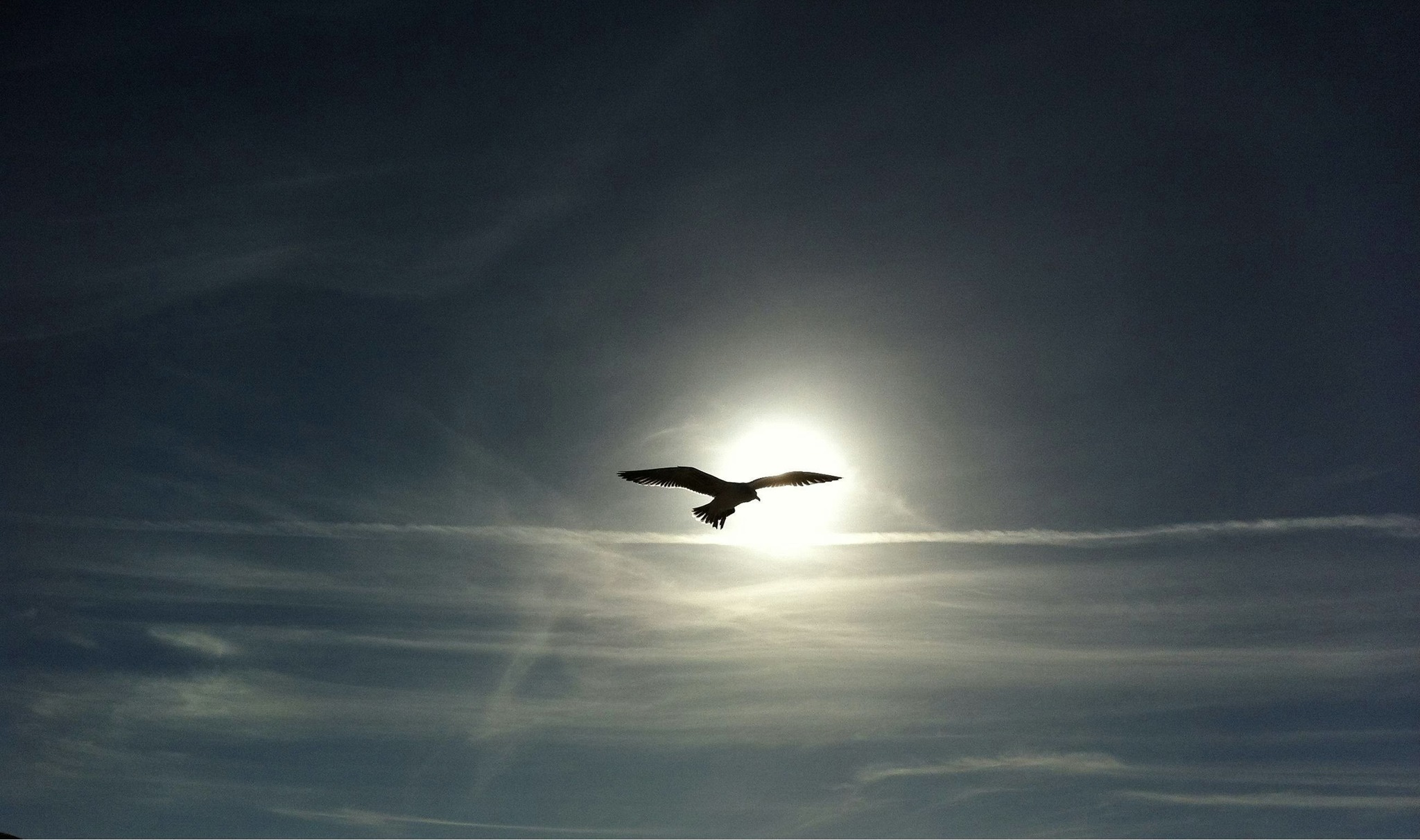 Spread Your Wings~ AMC Sunday Morning Dance Waves w DJ Conoway