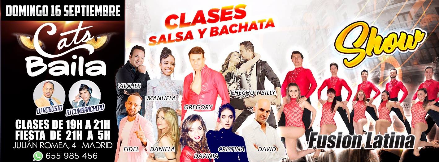 Domingo 17sept, CATS salsea.es en MAdrid