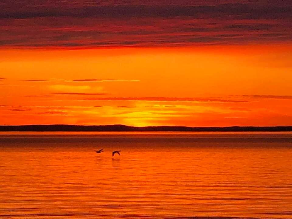 Milongahelg på Borghamn Strand