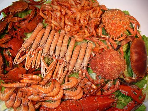 DOMINGO DIA 1 DE DICIEMBRE A LAS 19.00 H COMIENZA TUS DOMINGOS LATINOS EN SALA MOLIERE, CONCURSO BIGMOJITO CON UNA GRAN MARISCADA A LOS GANA