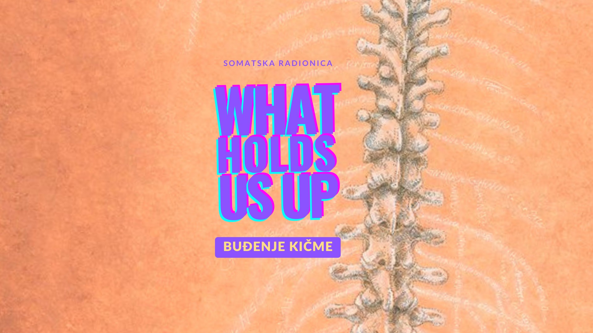 Somatska Radionica 🌈 What Holds Us Up - Buđenje kičme.