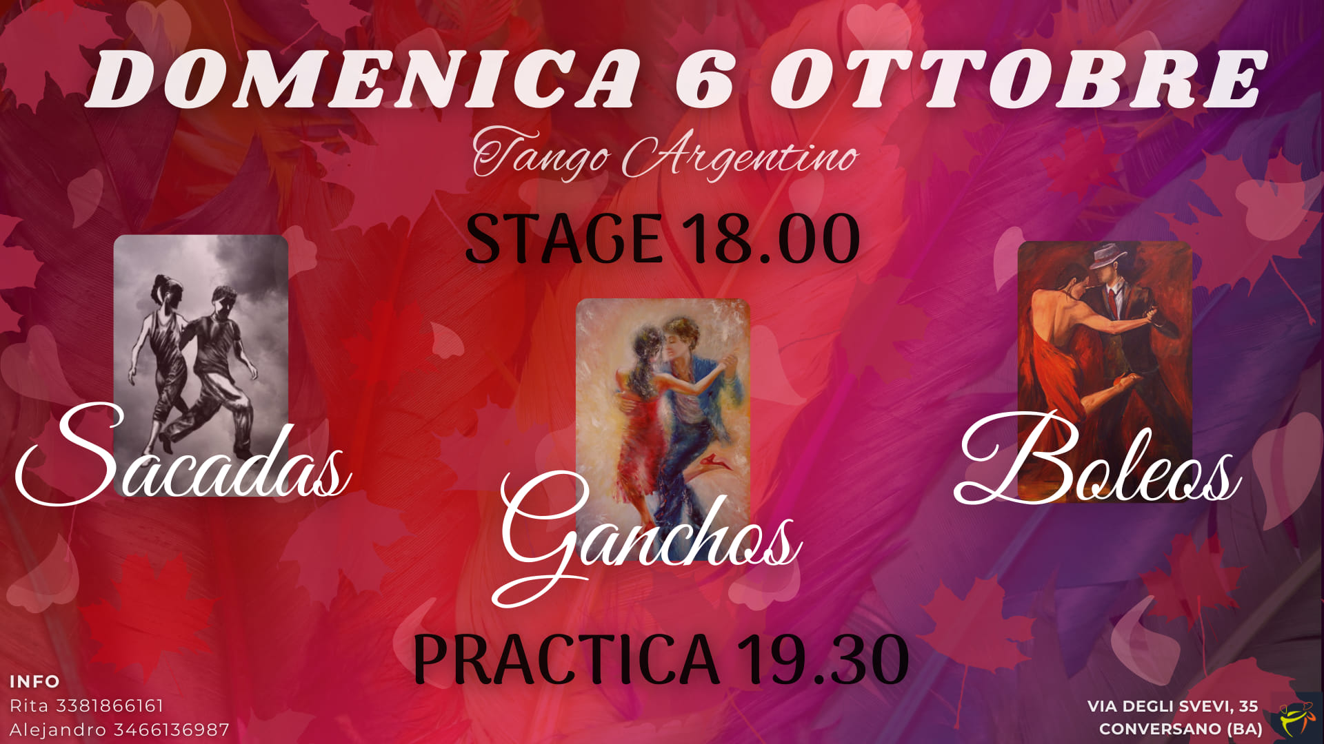 STAGE + PRACTICA