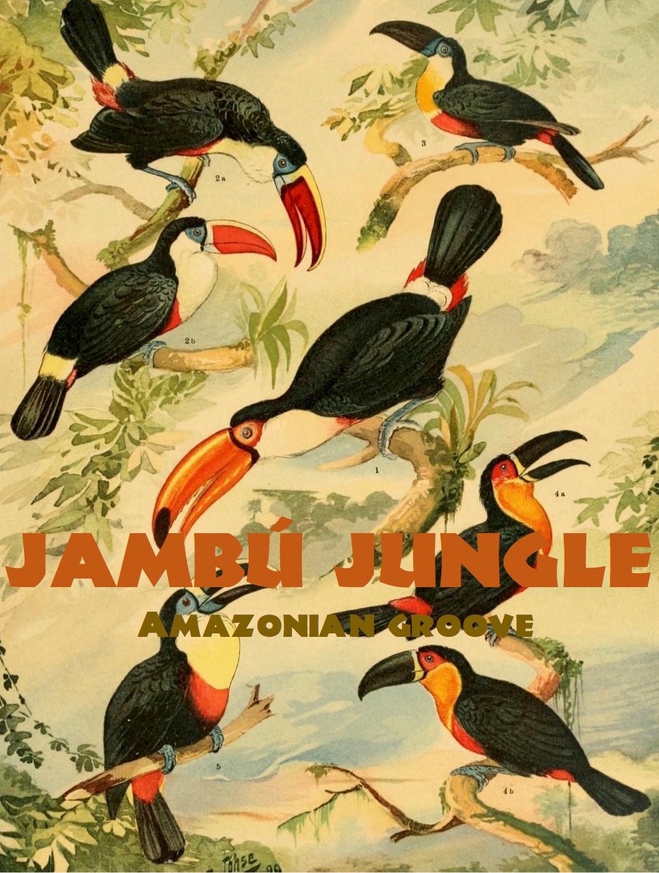 Jambú Jungle en live