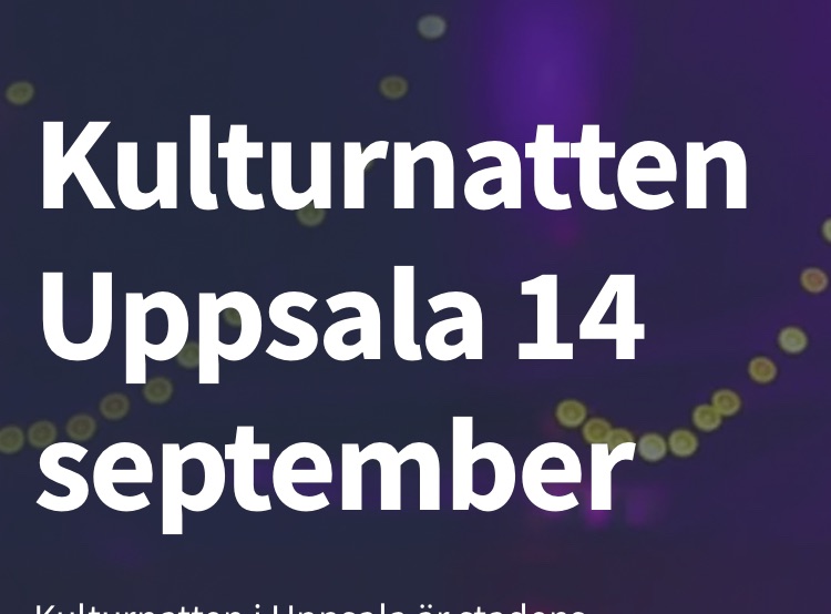 Kulturnatten Stora torget Dj Monserrat
